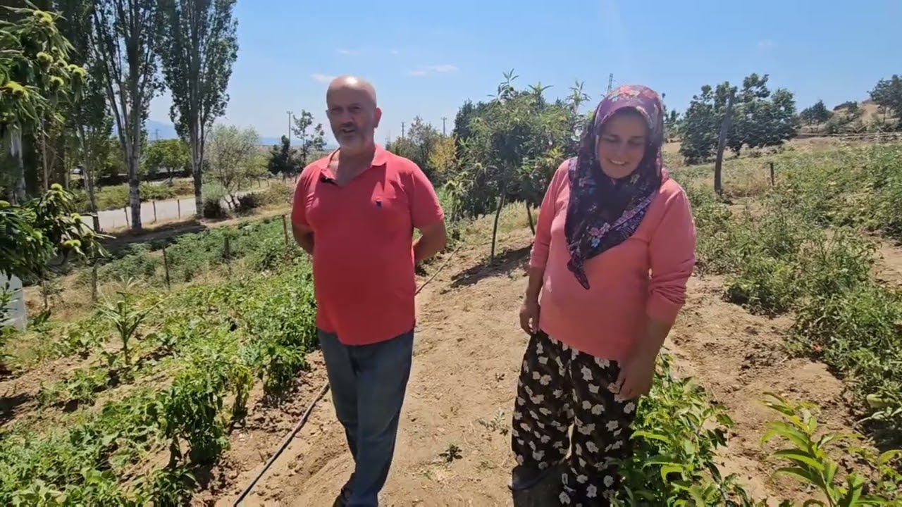 MANİSA'NIN DEMİRCİ İLÇESİ ÇANAKÇI KÖYÜNDE ANKARA'LI  MURAT SIDIKA UĞRAÇ ÇİFTİ İLE SOHBET 07-08-2024
