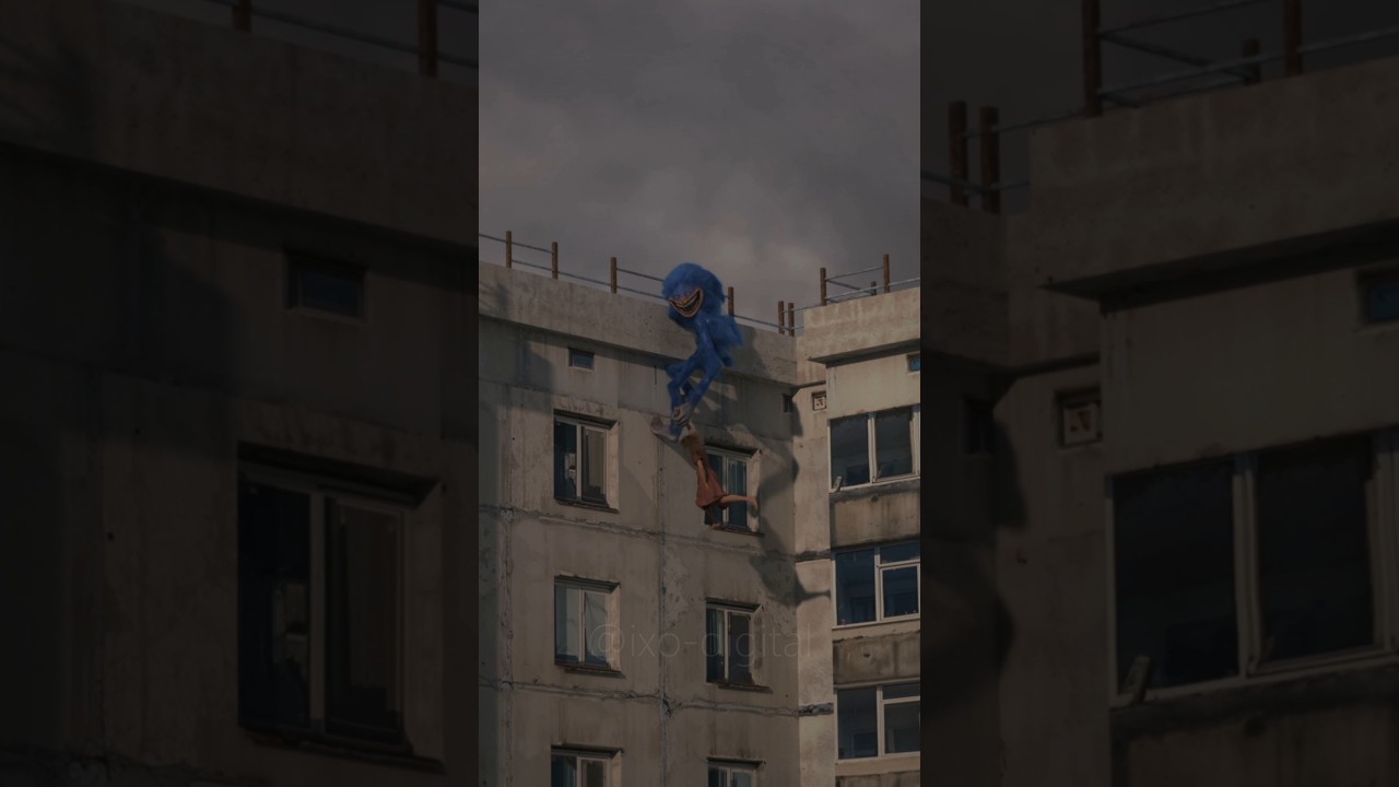 Пойман Шином Соником 
