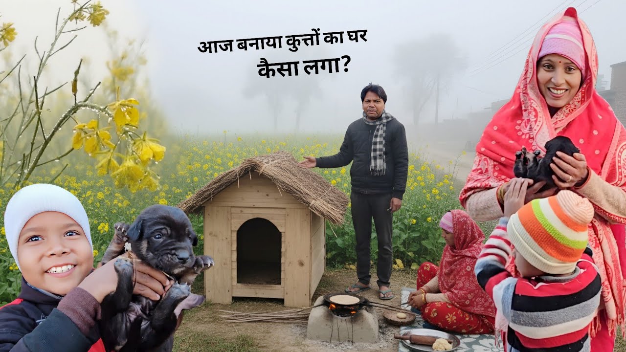 इतनी ठंडी में यह कुत्ते बेचारे क्या करें आज बनाया मिलकर इनका घर | Soni Dharmendra Vlogs 