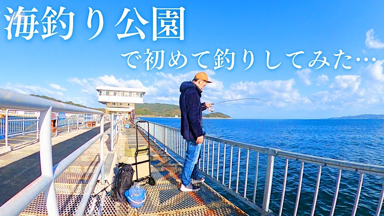 初めて海釣り公園へ行って釣りしてみた結果…色んな魚に出会えました。【福岡釣り】