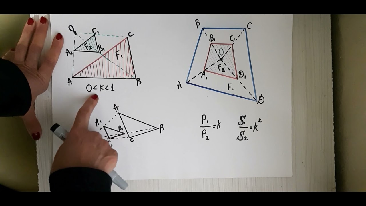 ჰომოთეტია