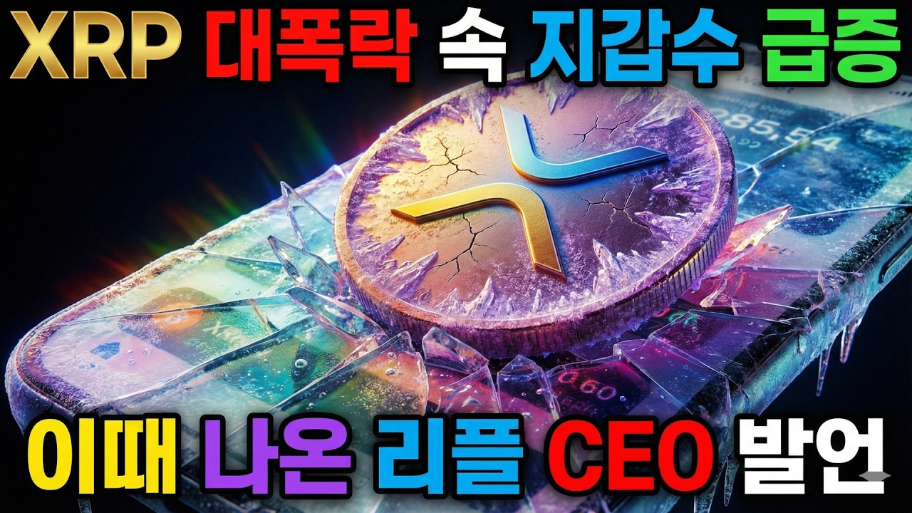 리플 대폭락 속 지갑수 급증 이때 나온 리플 CEO 발언 최신 해외소식 총정리 매일 업데이트 2026년 2월 7일