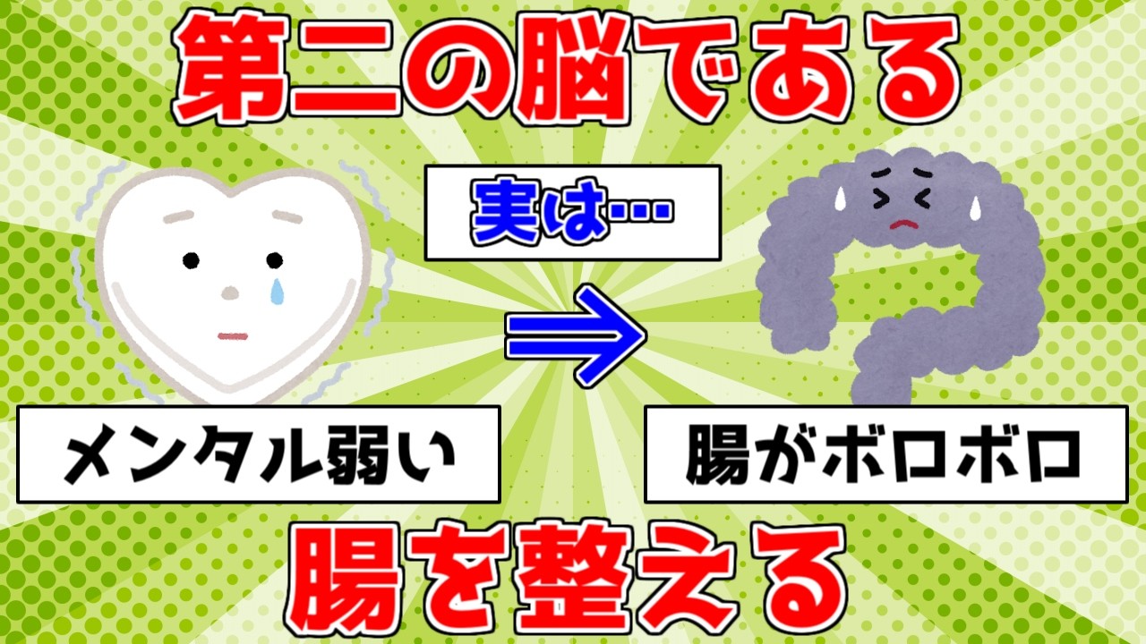 【健康】腸活の真実！第二の脳である腸を整える【ゆっくり解説】