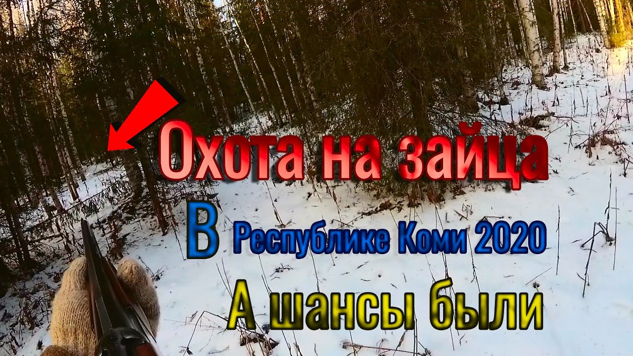 Охота на зайца по снегу в Республике Коми 2020. Тропим зайца по снегу, а шансы то были.