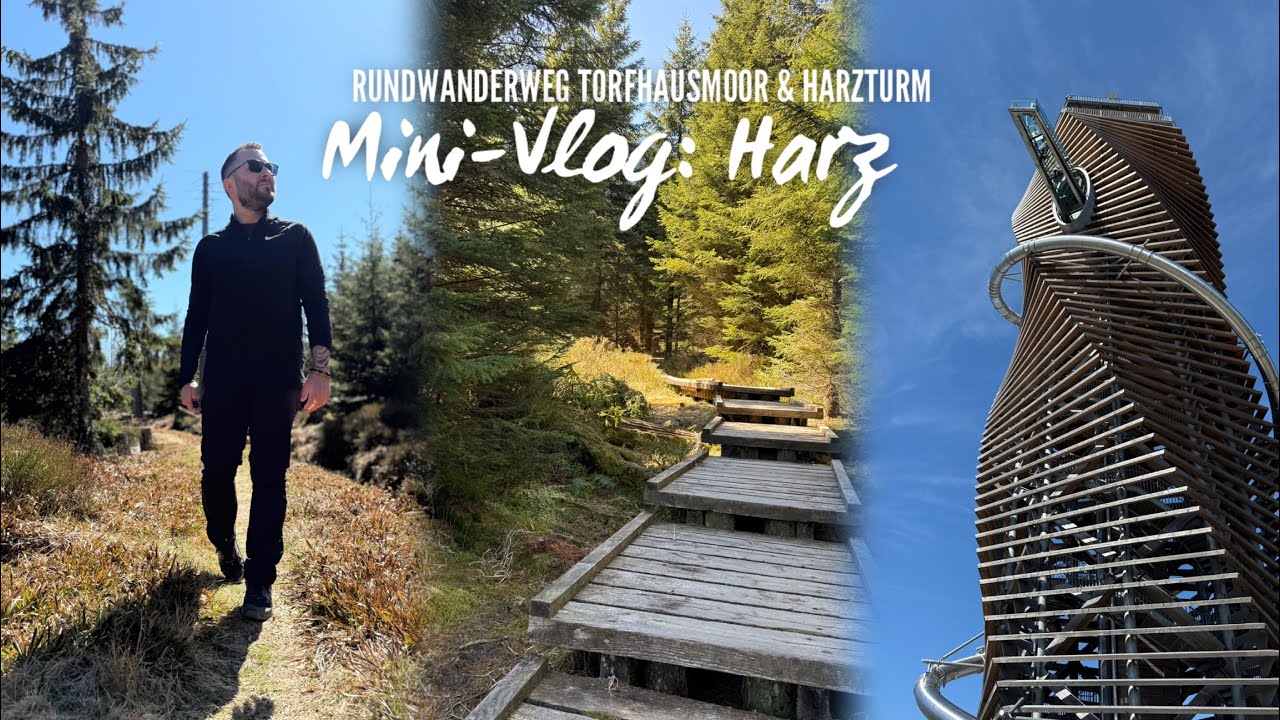 Harz Vlog #1: Torfhaus Moor Rundwanderung und Harzturm