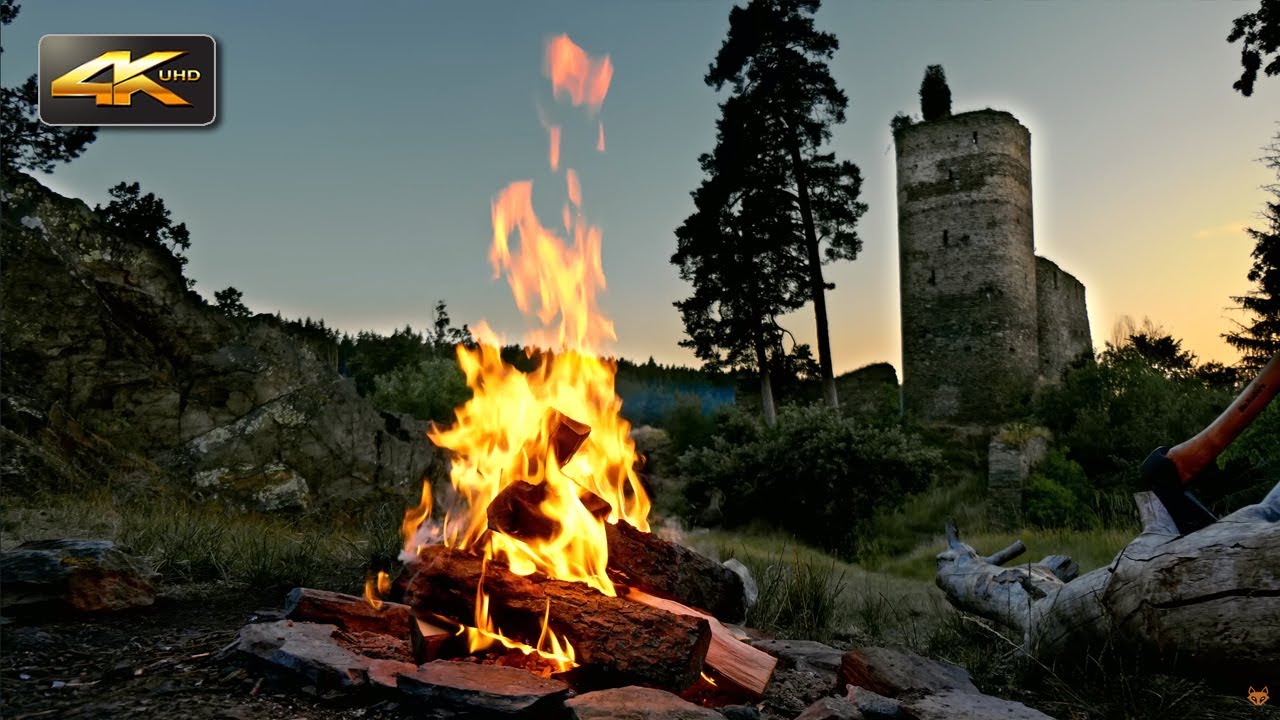 Medieval Campfire🔥Old Castle Ambience  & Sounds of Forest