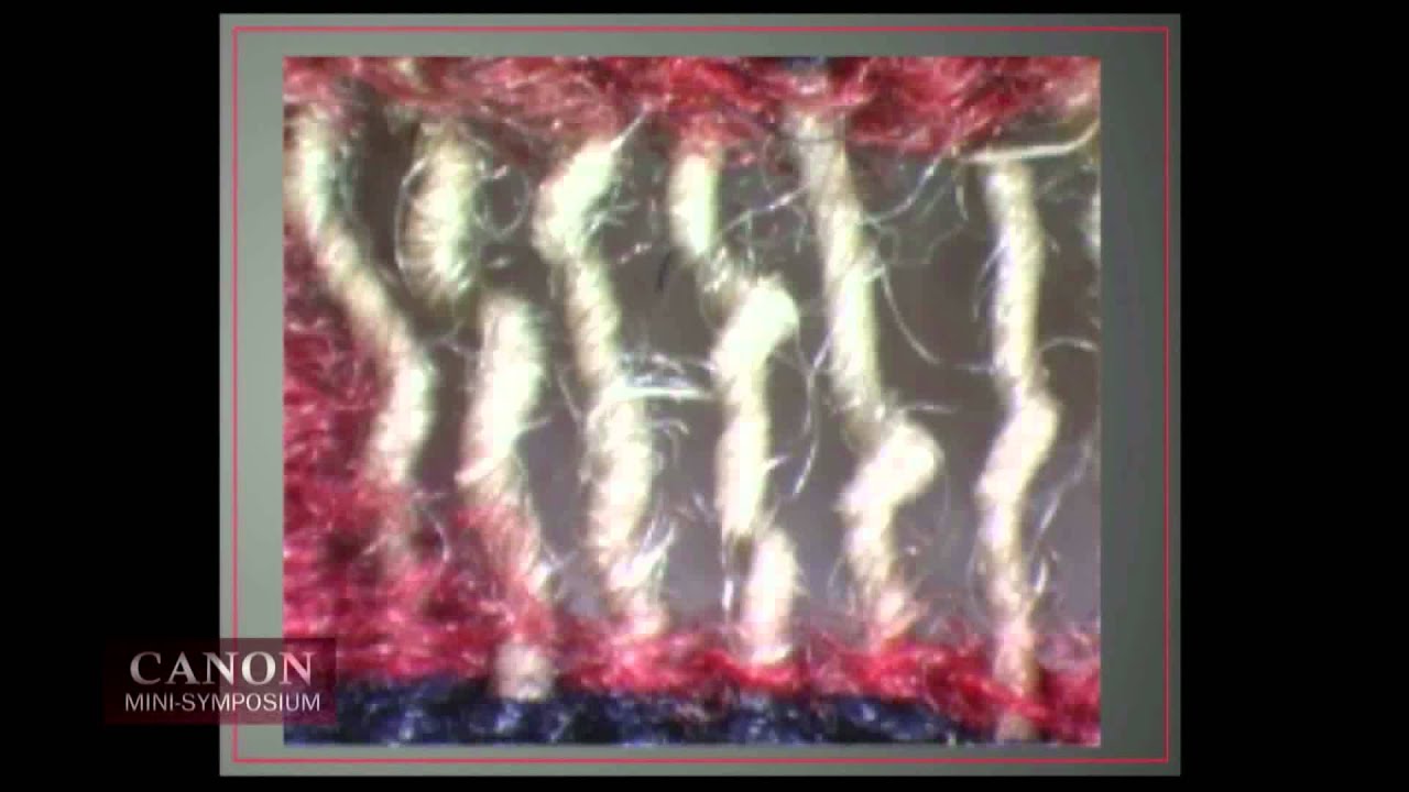 Canon: A Mini-Symposium | Navajo Classic Blankets: A Study in Chronology and Creativity