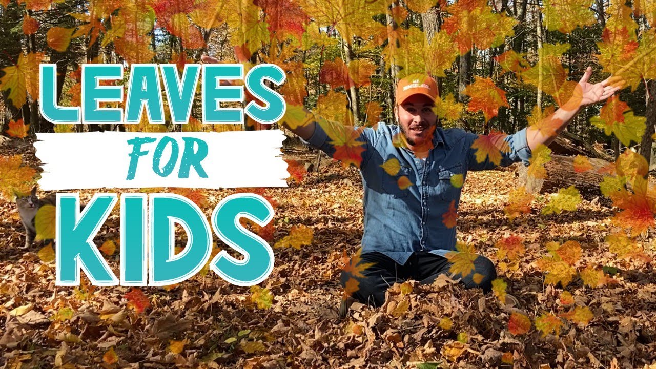 Why do Leaves Change Colors and Fall Down? 🍂 | Science & Biology for Kids! (w/ Fun Fall Craft too!)