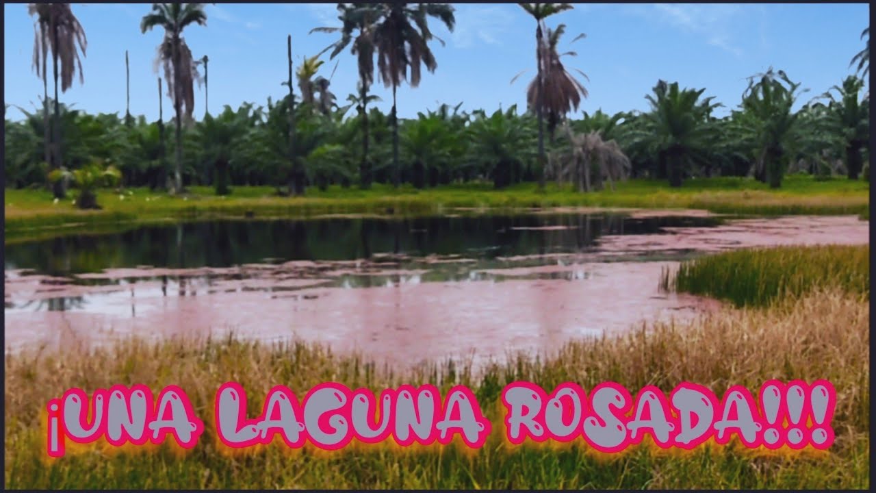 Recorriendo Colombia (Ruta a la Laguna Rosada de Acacías-Meta)