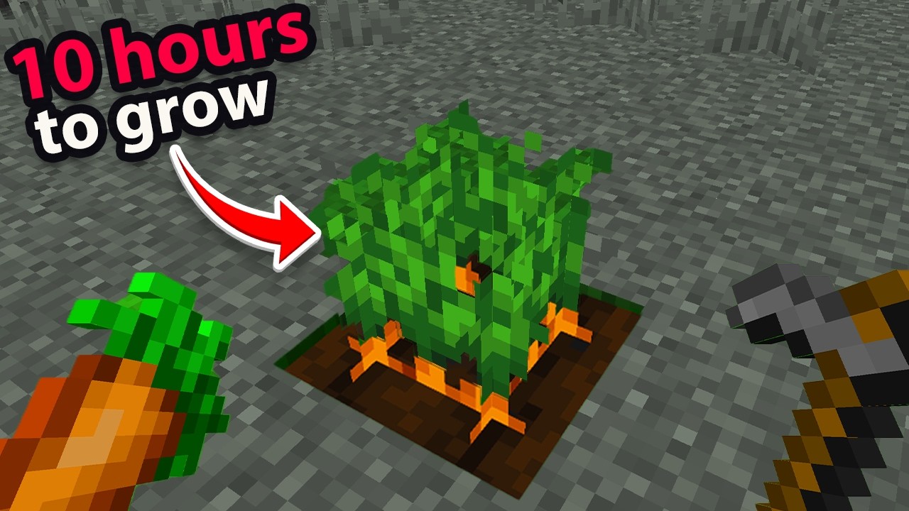 Can you Beat China's Hardest Minecraft Mod?