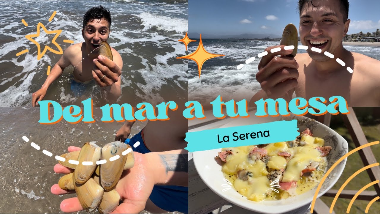 C&oacute;mo Recolectar Machas en La Serena y Prepararlas al Estilo Parmesano 🐚🧀
