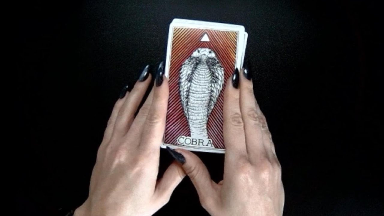 Capricorn Sun ☀️ Scorpio Moon 🌘 — The Release You Can No Longer Avoid
