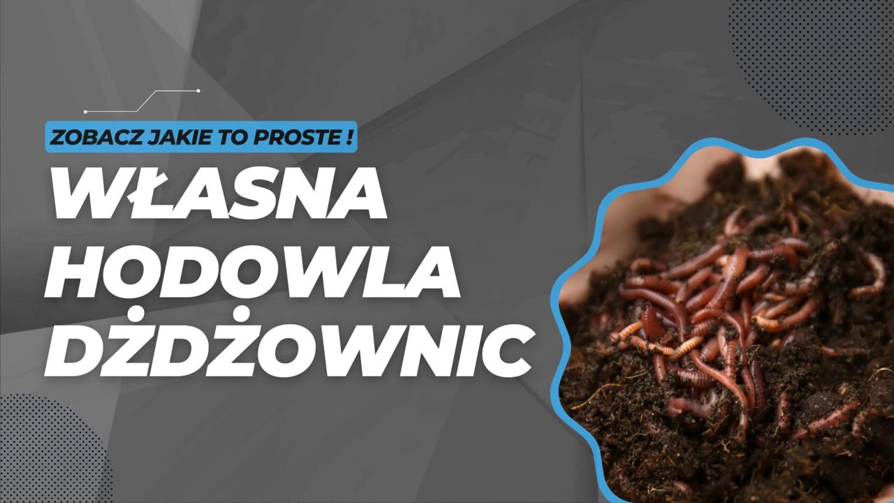 Hodowla dżdżownic - zakładamy łatwy wermikompostownik