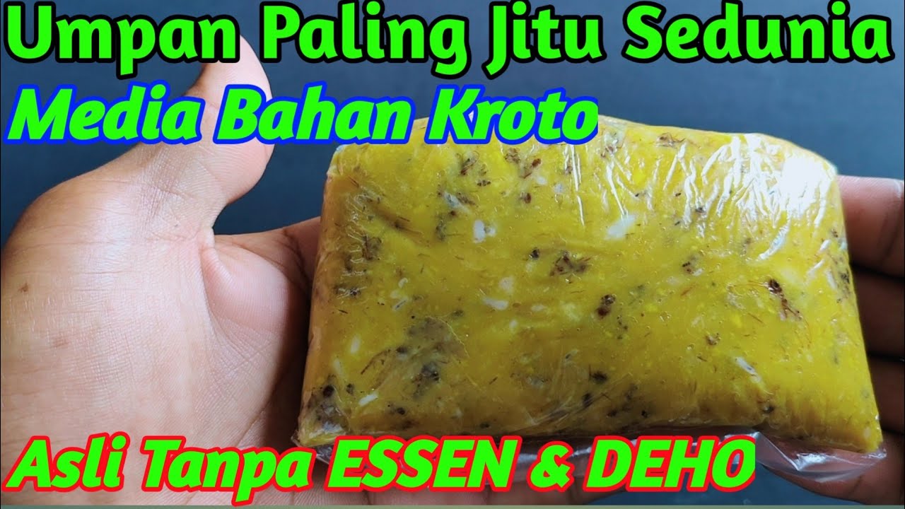 Terbaru Racikan Umpan Ikan Mas Paling Jitu & Paling Ampuh Cuma 5000 Bisa Nguras Empang Sampai Kosong