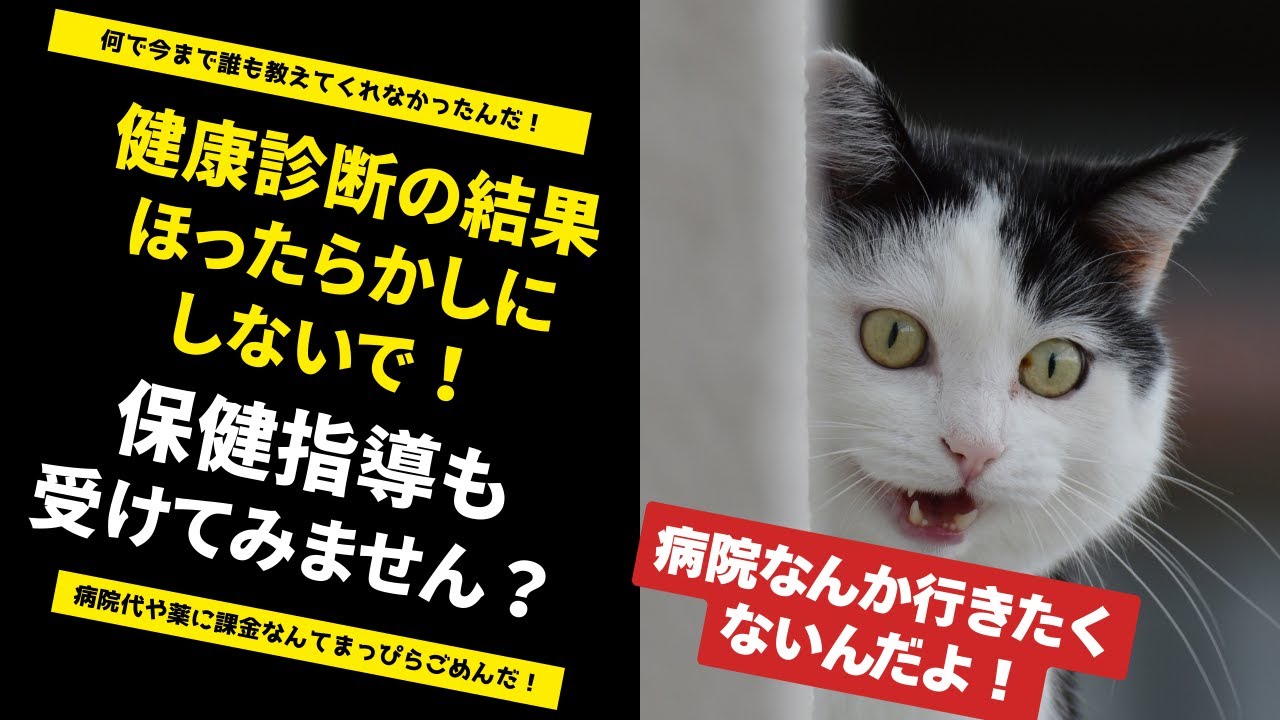 【中高年VTuber】病院に課金するより、推しに課金したいのよ私は！
