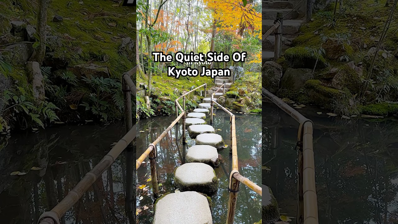 Scenes from the quiet side of Kyoto 🇯🇵 #kyototravel #kyototrip #kyotolife #kyoto #kyotojapan