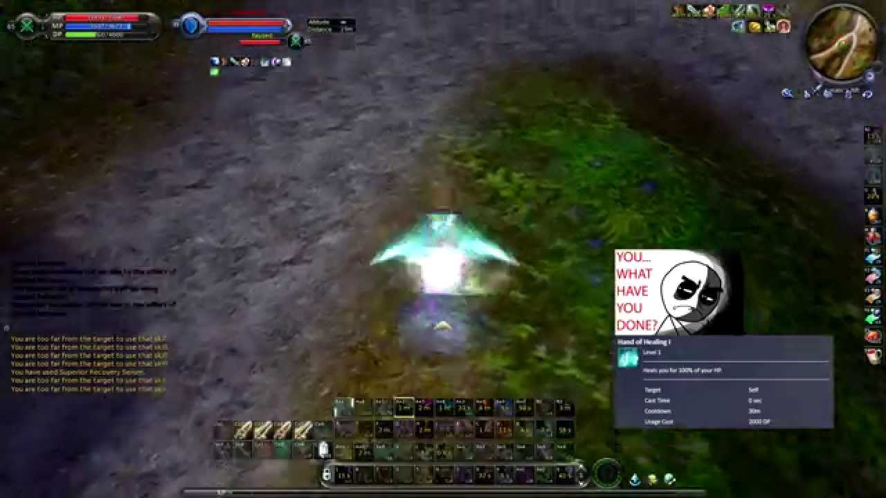 !Aion PvP Assassin 4.5 Rayzed