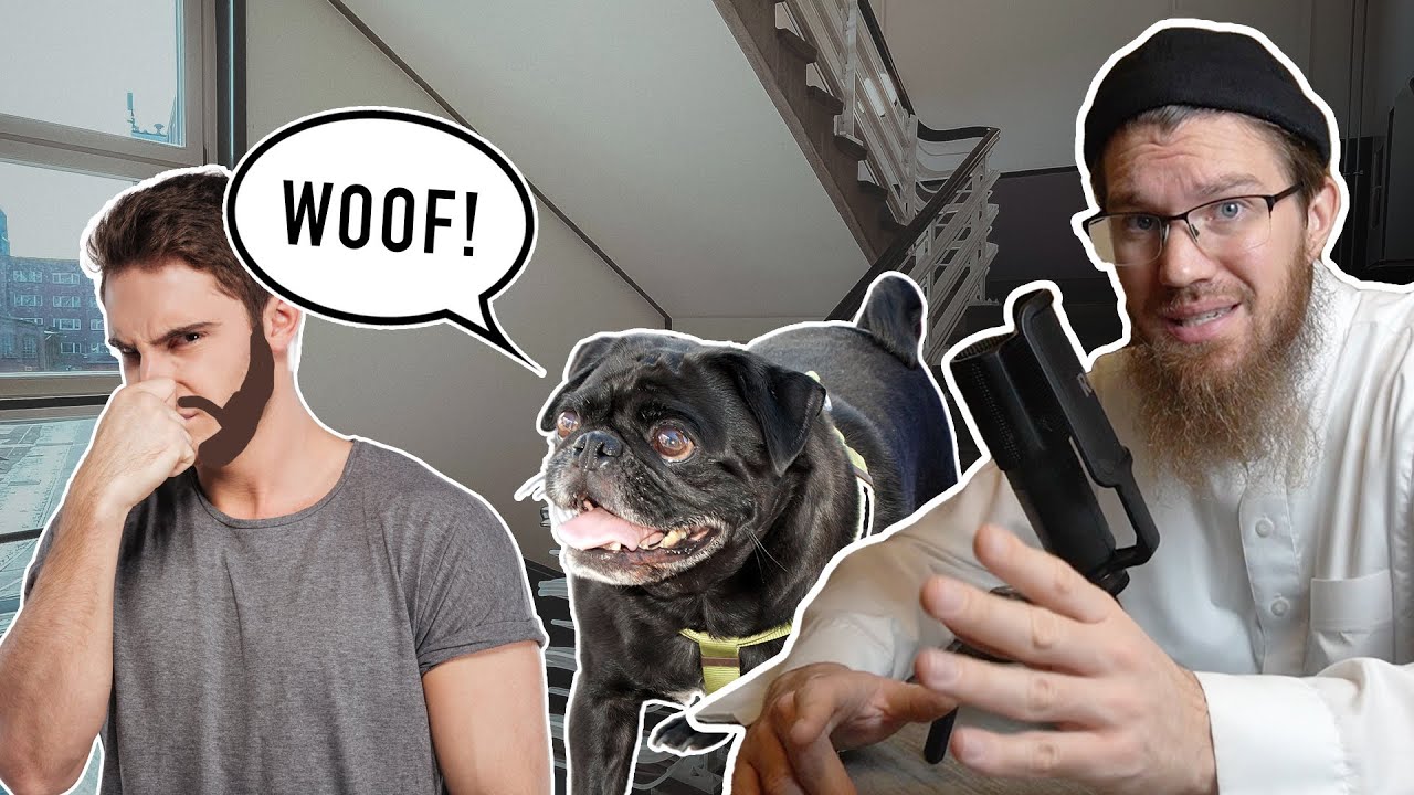 How Should MUSLIMS treat DOGS & STAIRWELLS?!