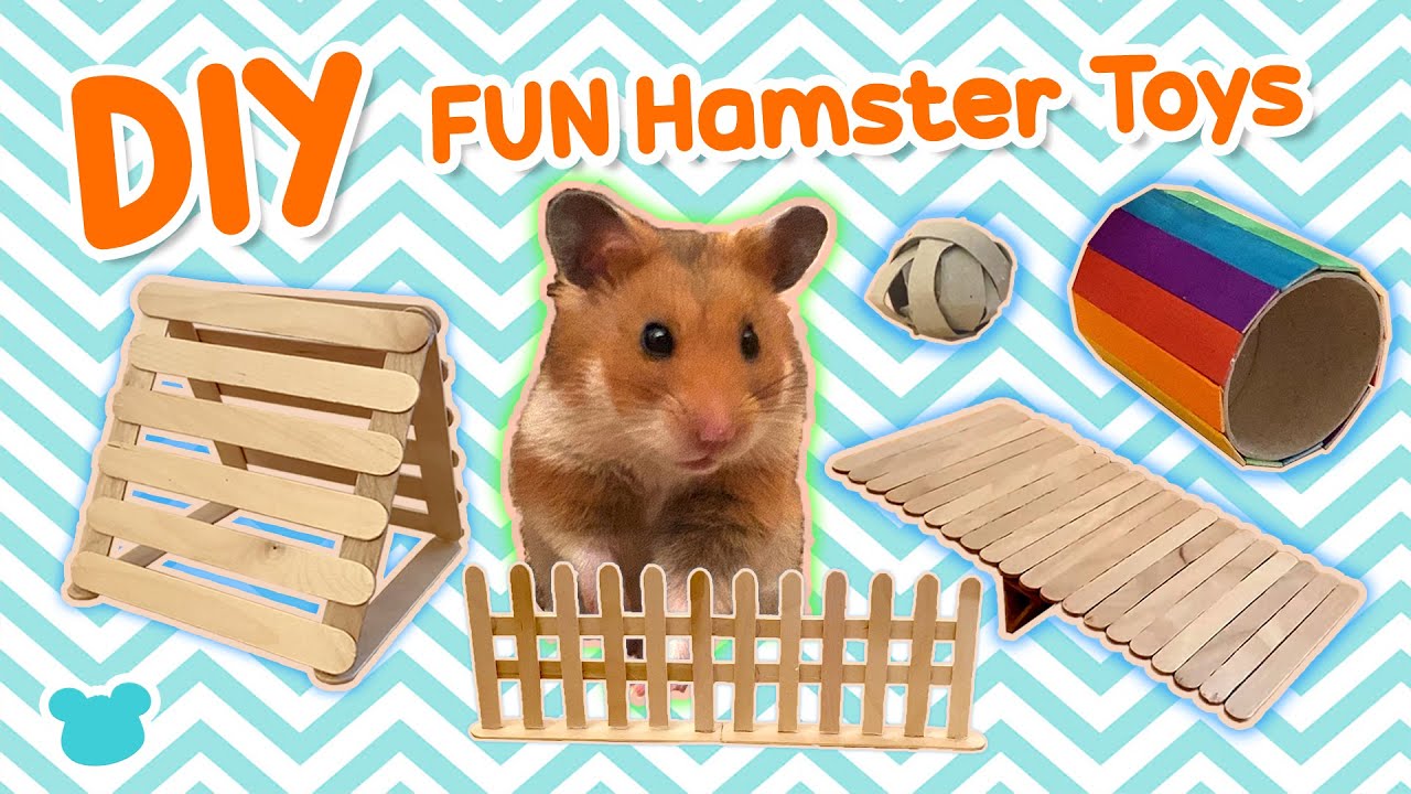 DIY Hamster Toys | Popsicles Sticks Tutorial | How to | Ham Ham Adventure TV