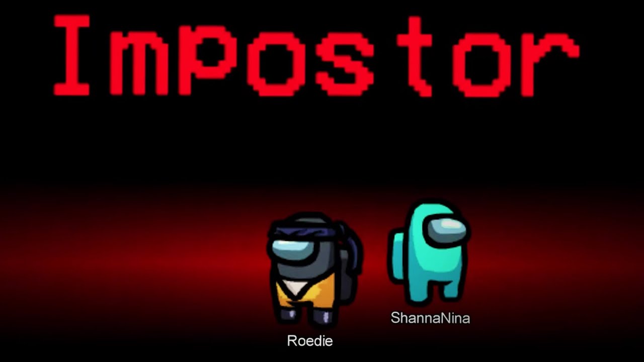 DIT IMPOSTER DUO KAN NIET FALEN!! (Among Us Nederlands)