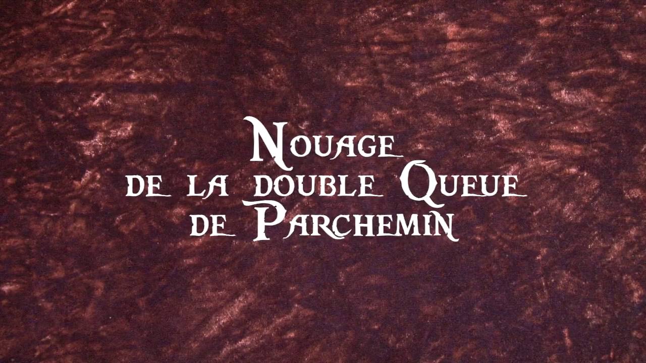 Pose d'un grand Sceau sur un Acte XIVè XVè siècle