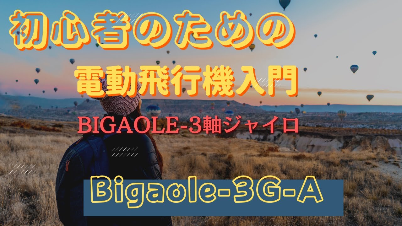 BIGALE（ビガール）３軸ジャイロ　３G-Aの設定方法