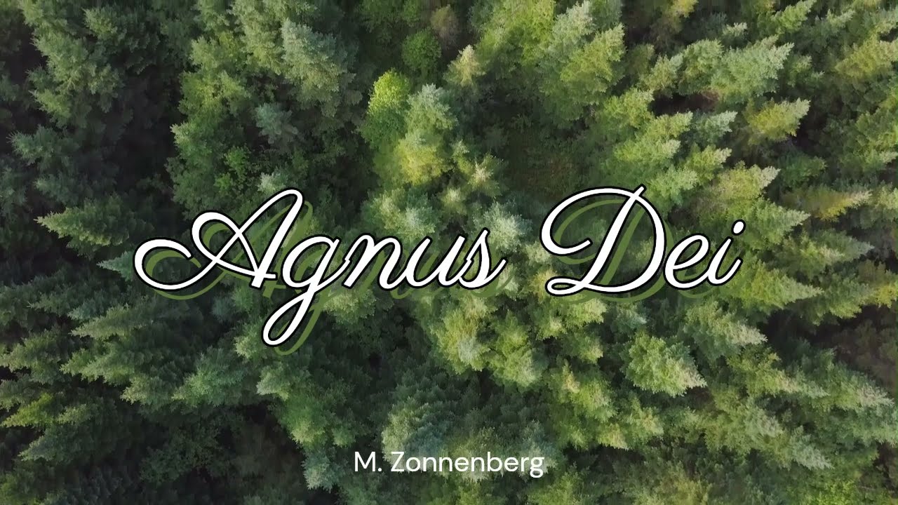 Agnus Dei (M. Zonnenberg)