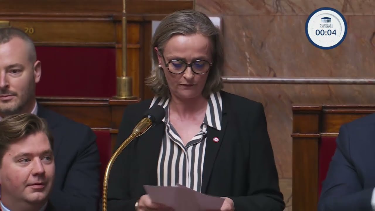 Question au Gouvernement d'Anne Sicard (11/03/2025)