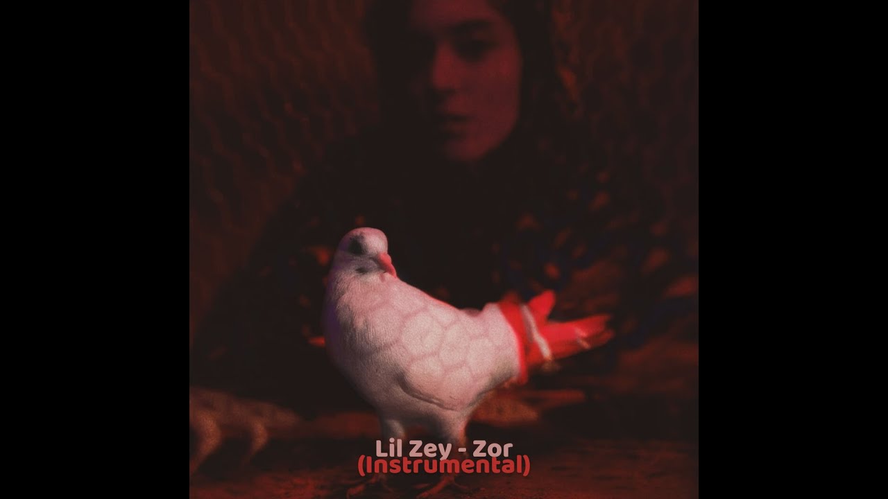 Lil Zey - Zor Instrumental / Beat (Prod. fvcko)
