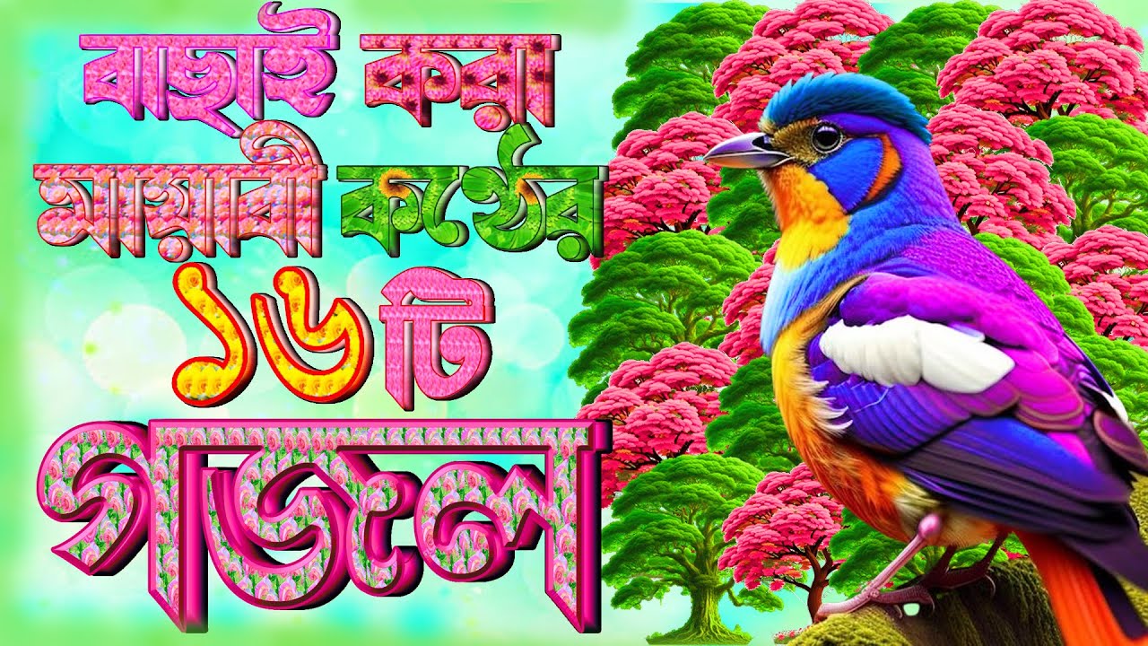 মিষ্টি মধুর সুরের ১৫টি গজল |খুবই দুঃখের গজল | Heart Touching Gojol | Selected Gojol | Bangla Gojol