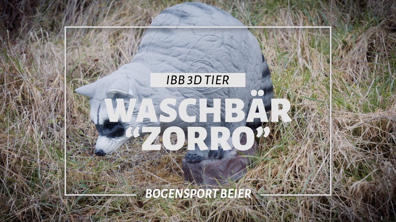 Waschb&auml;r Zorro - IBB 3D Tier von BOGENSPORT BEIER