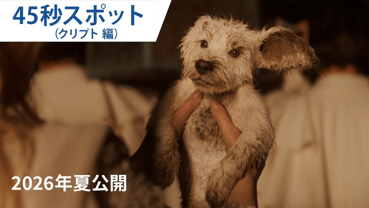 映画『スーパーガール』45秒スポット クリプト編 | 2026年夏 日本公開決定！