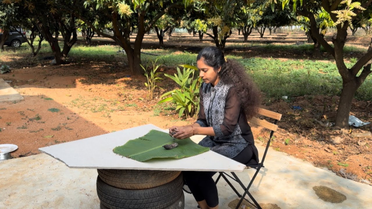 సంక్రాంతికి ఫామ్‌కి వెళ్ళాము।ఉదయాన్నే లేచి మెుక్కలని పలకరిస్తు harvest |కొత్త మెుక్కలు |।madhuvanam