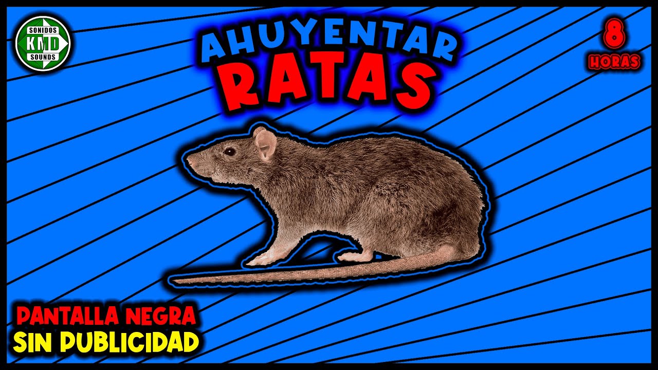 SONIDO PARA AHUYENTAR RATAS 🚫🐀 REPELENTE DE RATAS - ULTRASONIDO