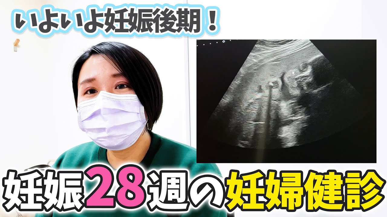 【ついに妊娠後期】赤ちゃんがどんどん大きくなってきました