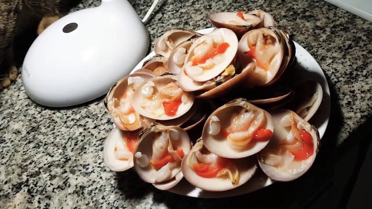 Receta Concha Fina de Marruecos y Ceuta en salsa. Spanish seafood recipe