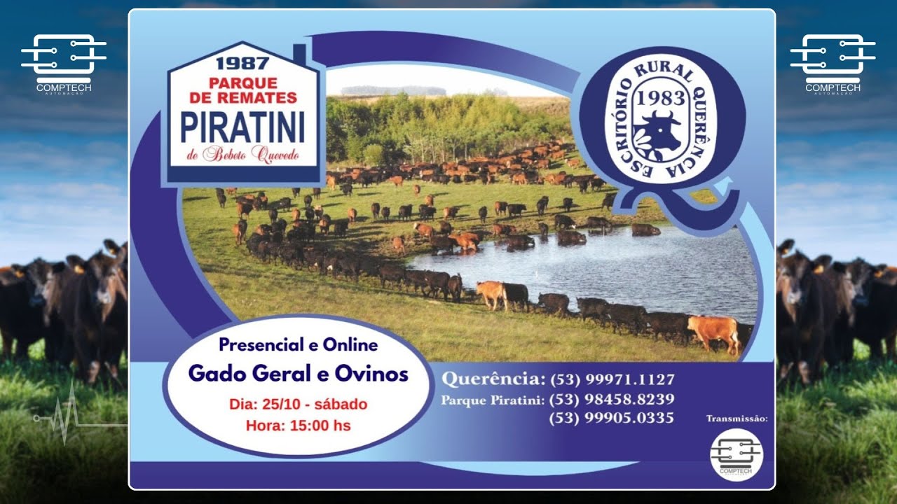 REMATE AO VIVO - GADO GERAL | ESCRITÓRIO RURAL QUERÊNCIA - 25/10/2025 - 15H