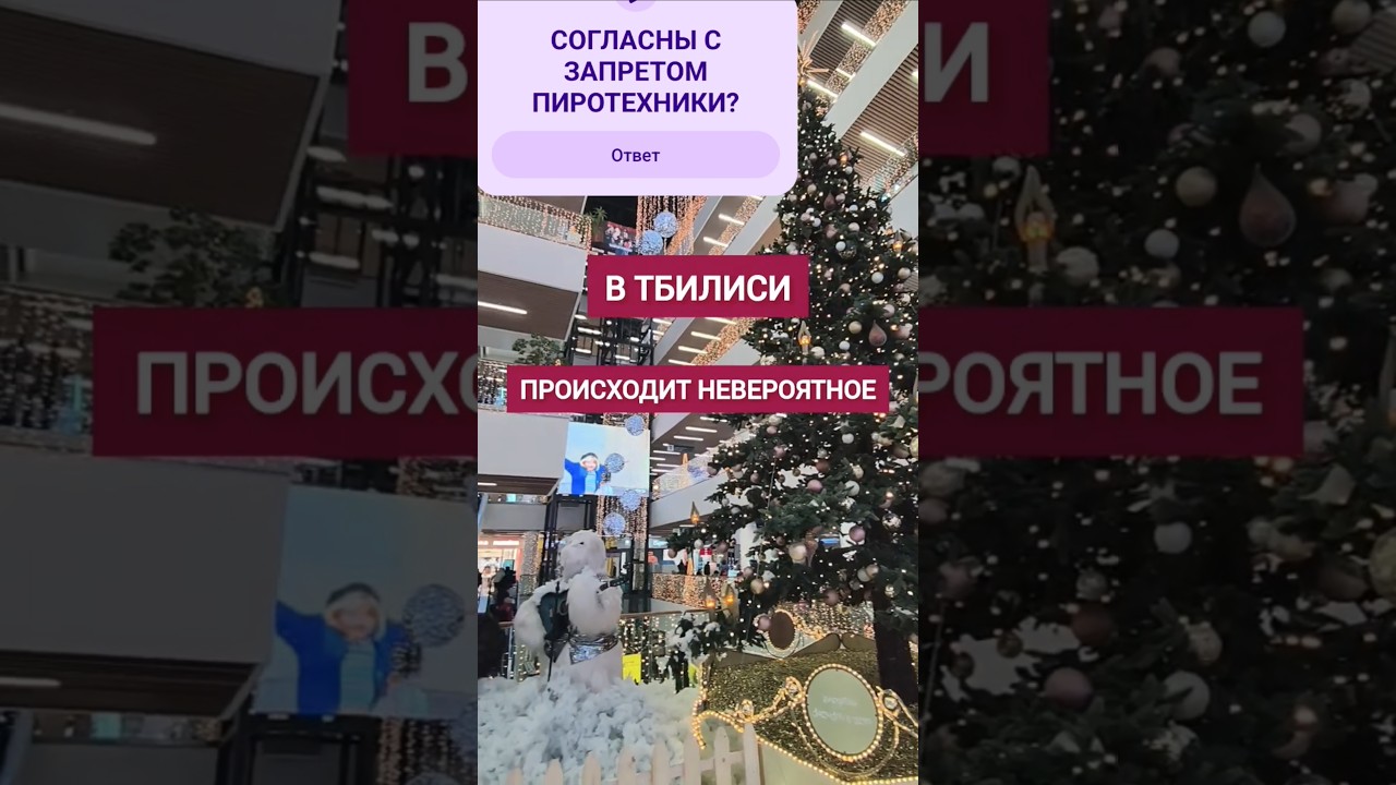 В ГРУЗИИ ОБЪЯВИЛИ ВОЙНУ ПИРОТЕХНИКЕ #тбилиси #новыйгод #2026 #животные #newyear #animals #georgia