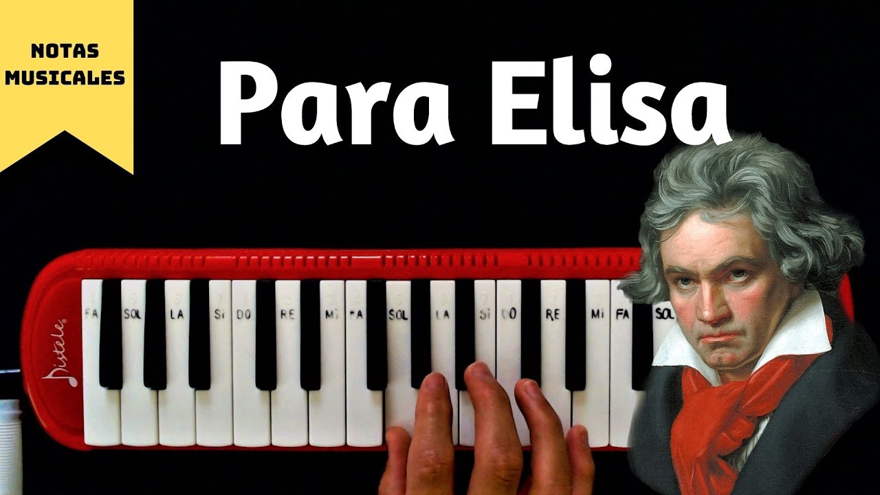 Tutorial // Cómo tocar 