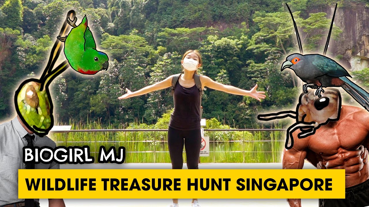 We found Koi Fish in Singapore Quarry! | Biogirl MJ