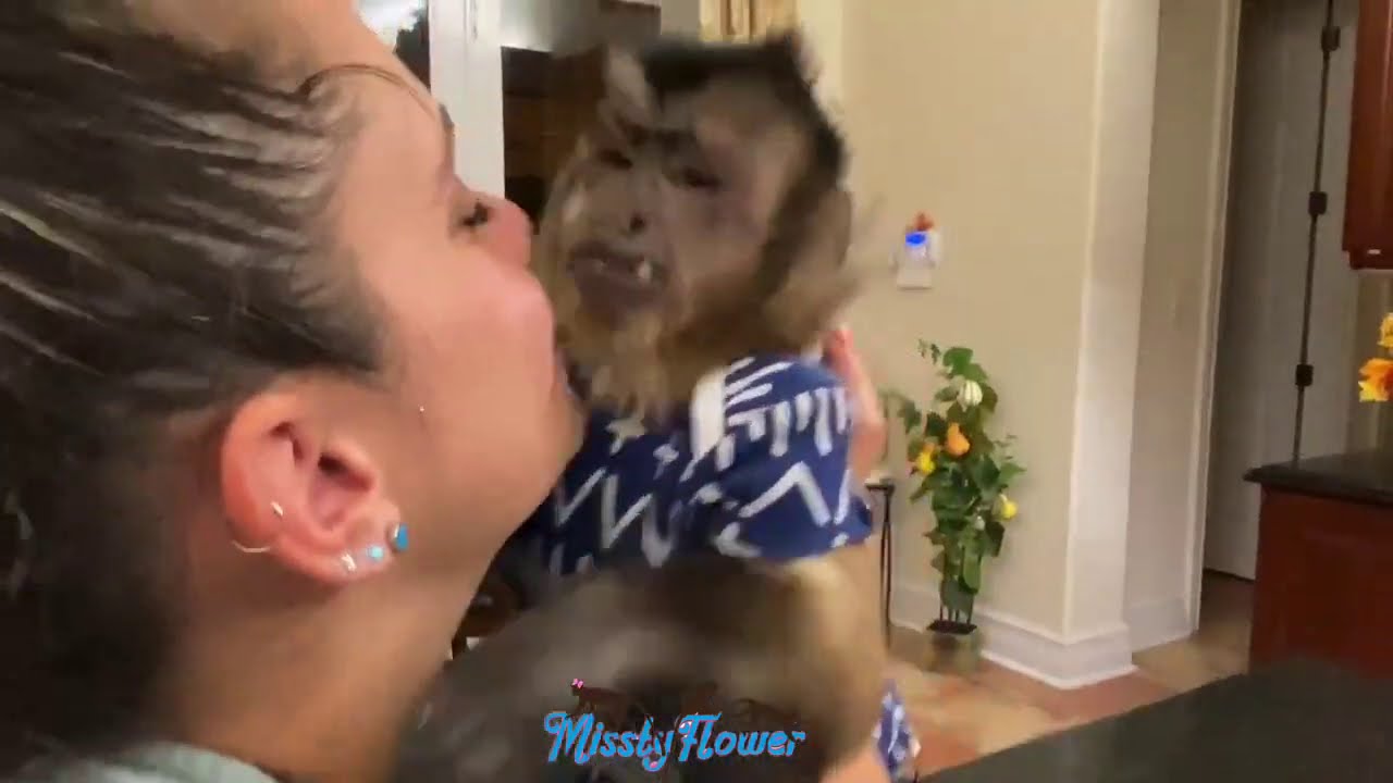 Monkeys Russel gives Sissy a KISS but definitely NOT the pen 🖊