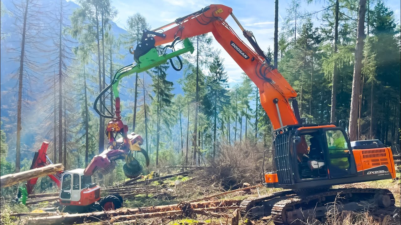 LAVORI BOSCHIVI con escavatore DOOSAN DX235 || post TEMPESTA Vaia