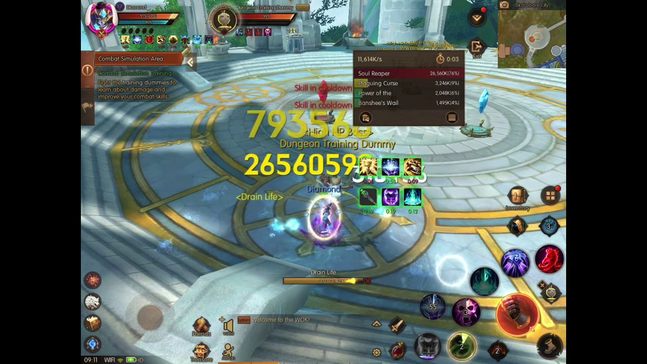 World of Kings Necromancer t4 rotation