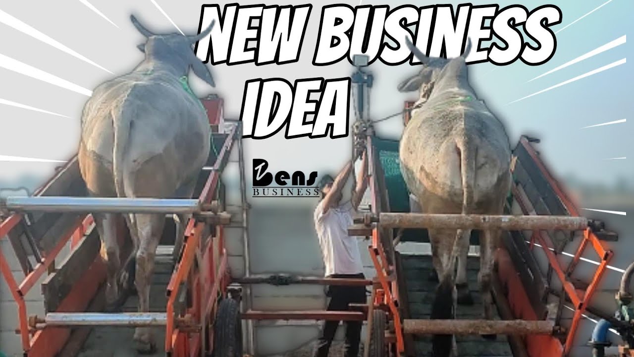 Business ideas | small business ideas | new business ideas | best business ideas | unique business
