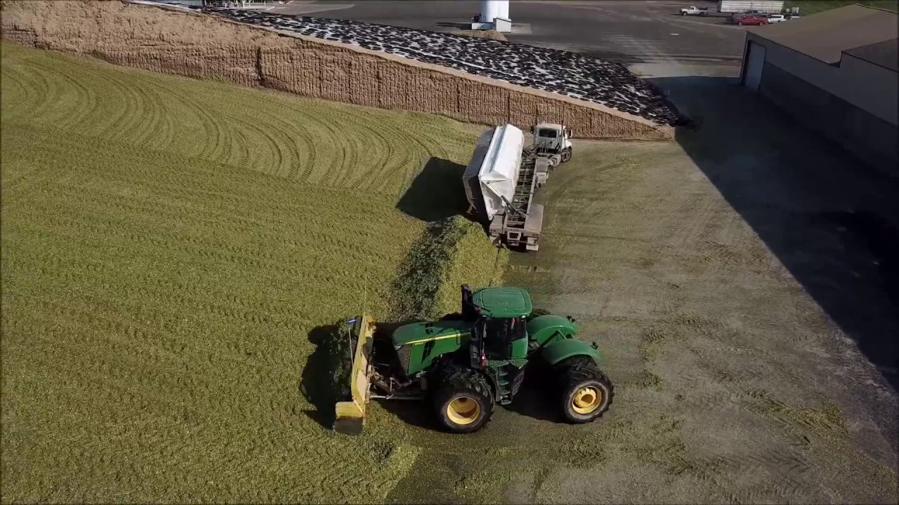 Riverview LLP Silage Chopping 2017