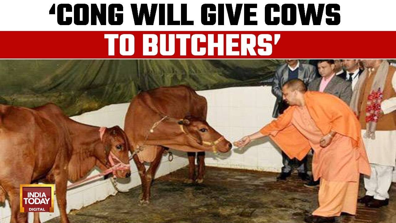 UP Chief Minister's Controversial Beef Statement Sparks Political Storm | BJP Vs Congress
