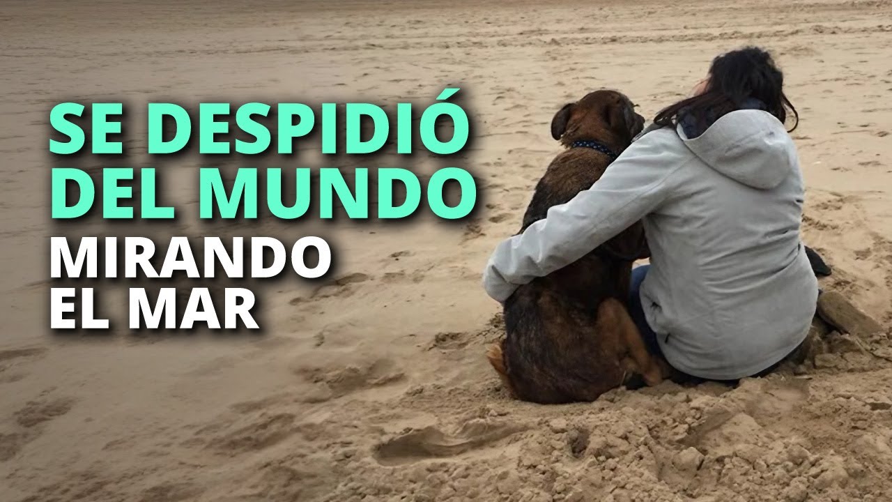 Beny, el final de un perrito que nadie amó