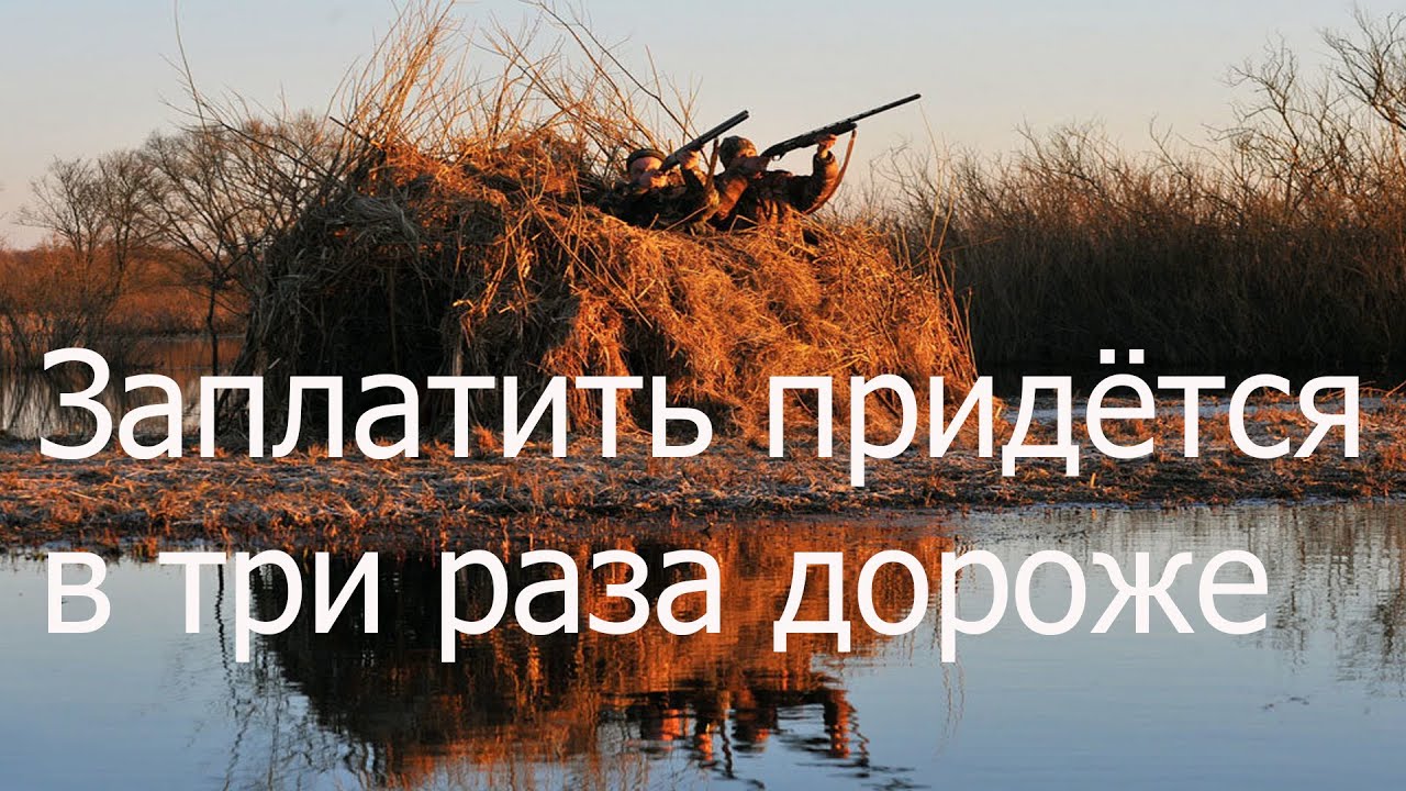 Нововведения по весенней охоте. Три разрешения на добычу вместо одного.