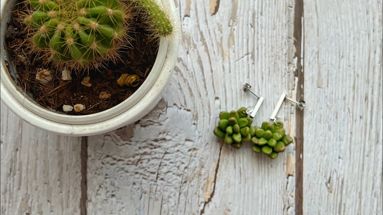 #1 Tutorial of making succulent plant earrings with polymer clay # Diy #clay