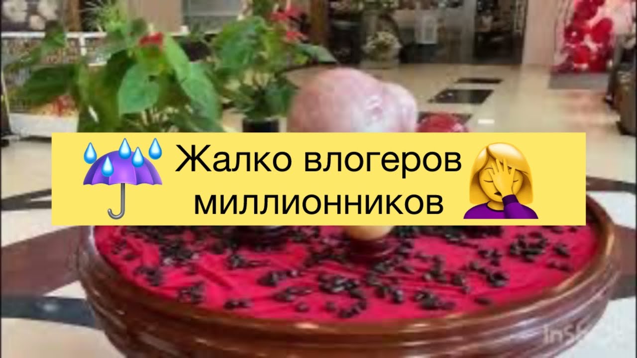 392.Жалко влогеров миллионников.